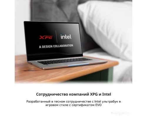 Ноутбук A-Data XPG Xenia XE XENIAXE15TI7G11GXELX-SGCRU