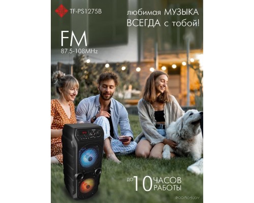 Портативная акустика SoundMAX SM-PS4425