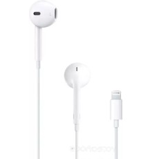 Наушники Apple EarPods MMTN2