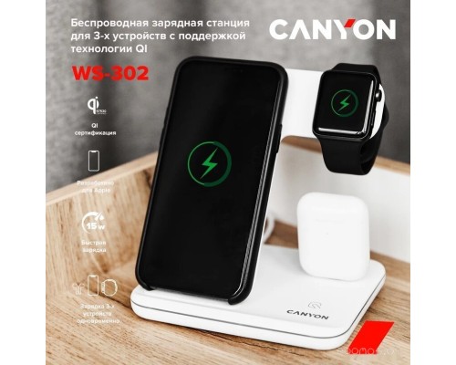 Док-станция Canyon WS-302 (черный)