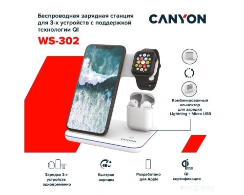 Док-станция Canyon WS-302 (черный)