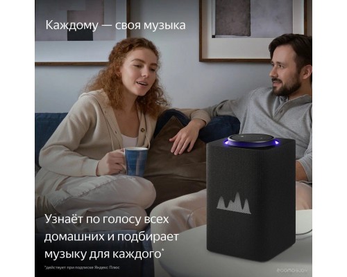 Умная колонка Яндекс Станция Макс (с хабом умного дома Zigbee, графит)