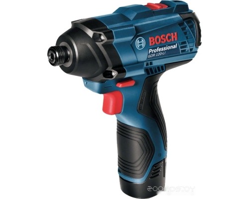 Винтоверт Bosch GDR 120-LI Professional 06019F0007 (с 1-им АКБ, кейс)