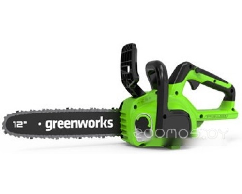 Аккумуляторная пила Greenworks GD24CS30K2 2007007UA (с 1-м АКБ 2 Ач)