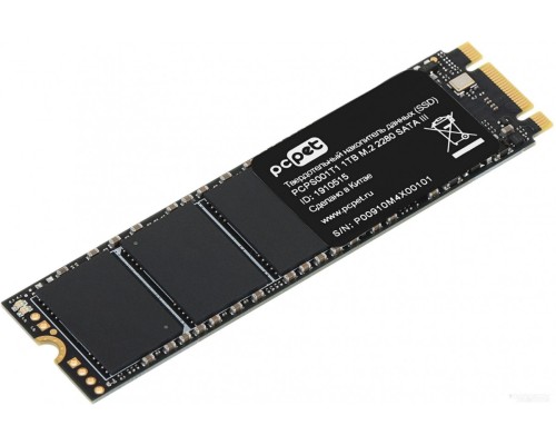 SSD PC PET 1TB PCPS001T1