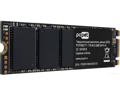 SSD PC PET 1TB PCPS001T1