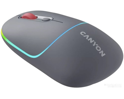 Мышь Canyon MW-22 (темно-серый)