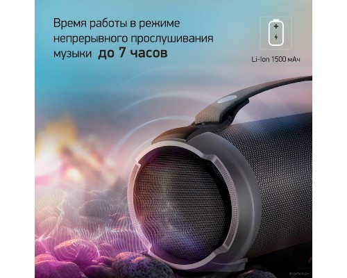 Портативная акустика DIGMA D-PS1520 (черный)