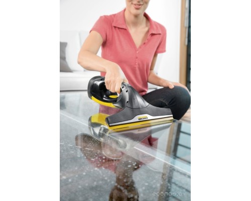 Стеклоочиститель Karcher WV 2 Premium 10 Years Edition (Premium Black)