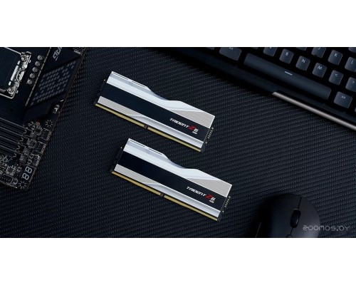 Модуль памяти G.SKILL Trident Z5 RGB 2x24ГБ DDR5 8000МГц F5-8000J4048F24GX2-TZ5RW