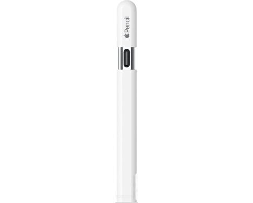 Стилус Apple Pencil USB-C