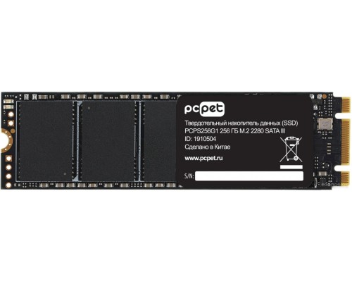 SSD PC PET 256GB PCPS256G1