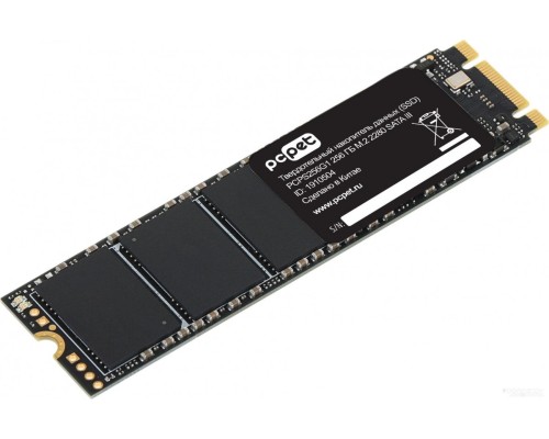 SSD PC PET 256GB PCPS256G1