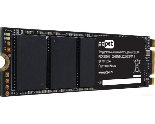 SSD PC PET 256GB PCPS256G1