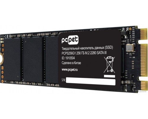 SSD PC PET 256GB PCPS256G1