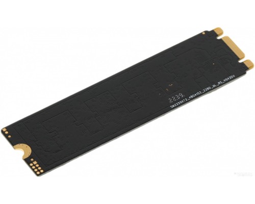 SSD PC PET 512GB PCPS512G1