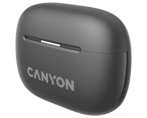 Наушники Canyon OnGo 10 ANC TWS-10 (черный)