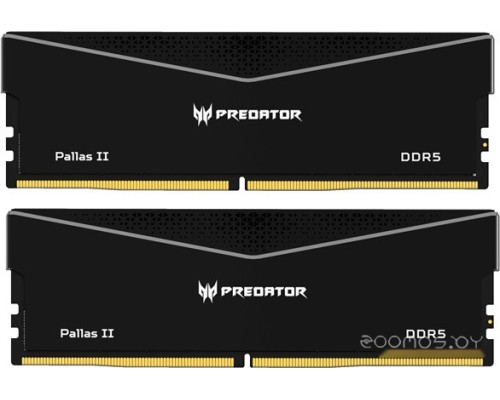 Модуль памяти Acer Predator Pallas II 2x32ГБ DDR5 6000 МГц BL.9BWWR.436