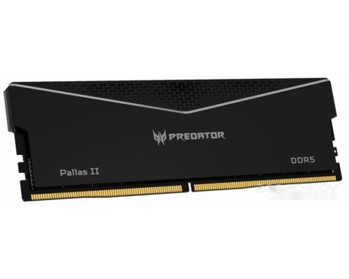 Модуль памяти Acer Predator Pallas II 2x32ГБ DDR5 6000 МГц BL.9BWWR.436