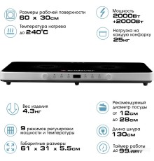 Настольная плита Endever Skyline IP-61