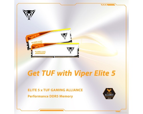 Модуль памяти Patriot Viper Elite 5 RGB TUF Gaming Alliance 2x16ГБ DDR5 6600МГц PVER532G66C34KT